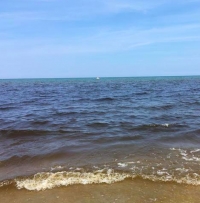 Mare rosso a Rimini, l&#039;alga non è pericolosa per la salute