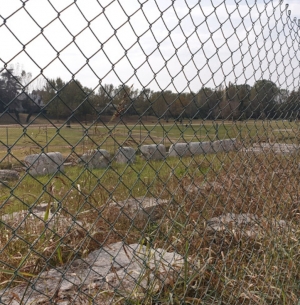 Piazza sull’acqua: tolta la rete dal giardino delle pietre antiche