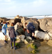 Misano, i lupetti puliscono la spiaggia