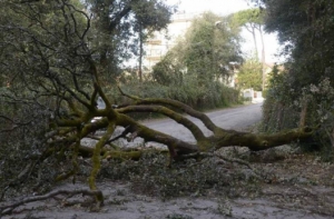 Danni maltempo, un milione a Rimini