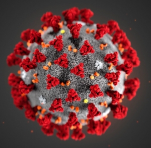 Aggiornamento coronavirus, a Rimini 52 casi in più, registrati due nuovi decessi