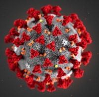 Aggiornamento coronavirus, a Rimini 52 casi in più, registrati due nuovi decessi