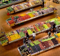 Buoni spesa, oltre 3.800 domande a Rimini