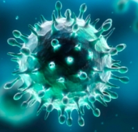 Aggiornamento coronavirus, un nuovo positivo a Rimini