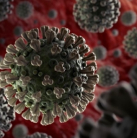 Aggiornamento coronavirus: casi in aumento contenuto