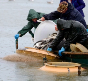 Pescatori di plastica, pubblicato il bando regionale