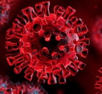 Aggiornamento coronavirus, + 5 a Rimini