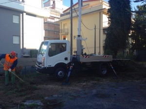 Piante pericolanti, rimossi 4 pini