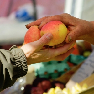 Valorizzazione del commercio, la Provincia sostiene 4 progetti