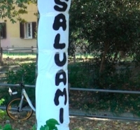 Fogne, assessore Montini: modifiche a tracciato ridurranno tagli alberi