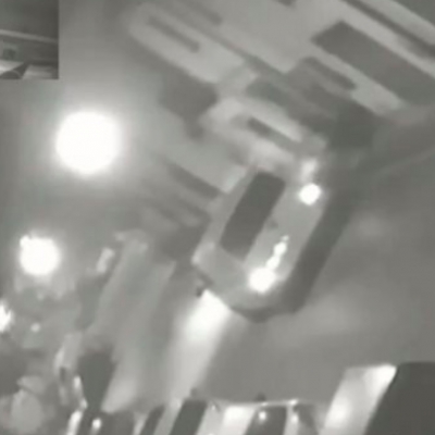 Lupo ucciso e appeso, due denunce
