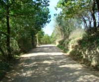 Saludecio, 120mila euro per sistemare le strade vicinali