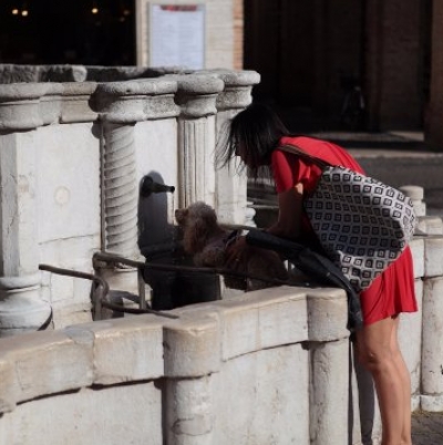 Allarme caldo, Rimini tra le 26 città a bollino rosso giovedì
