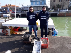 Vongole senza ‘etichetta’ e orate troppo piccole, due comandanti multati