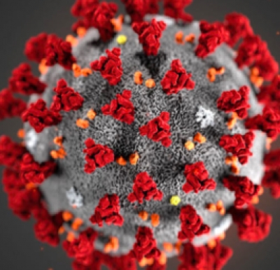 Aggiornamento coronavirus, 22.560 casi, +13 a Rimini