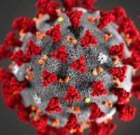 Aggiornamento coronavirus, 22.560 casi, +13 a Rimini