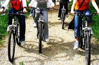 Strade, 307 incidenti in bici nel 2016