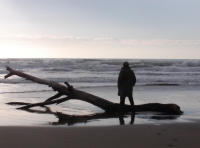 Il mare d’inverno, intesa tra sindaco e balneari