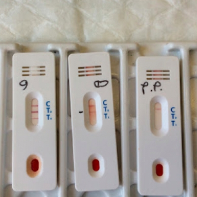 Blitz dei nas: sequestrati 300 kit per test rapidi