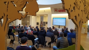 Arenile, il nuovo piano premia chi fa squadra