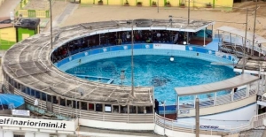 Delfinario, Tar respinge ricorso proprietà