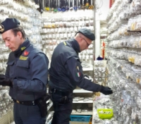 Bigiotteria pericolosa, sequestrati 1.400 pezzi a magazzino cinese