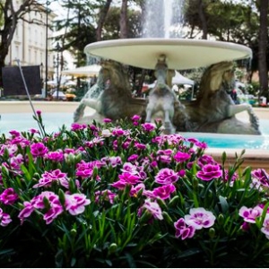A Rimini 18esima edizione Giardini d&#039;autore