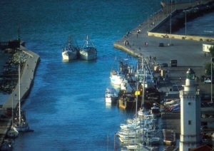 Porto canale, si studiano i sedimenti