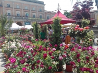 Santarcangelo, grande pubblico per i balconi fioriti