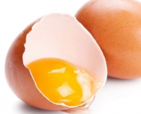 Fipronil, sei casi in Emilia Romagna