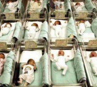 Famiglie, sono oltre 66mila: si tratta per lo più di persone sole