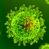 Aggiornamento coronavirus: