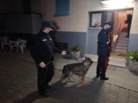 No smoking, i carabinieri stoppano sodalizio tra spacciatori