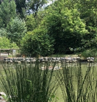 Riccione, in arrivo palestra al parco della Resistenza