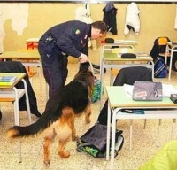 Scuole sicure: cani antidroga e videosorveglianza contro lo spaccio