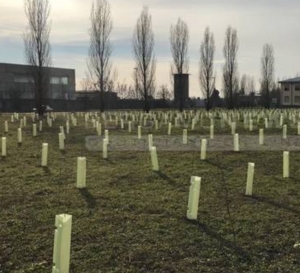 A14, Rimini sollecita Autostrade a piantare 5mila alberi