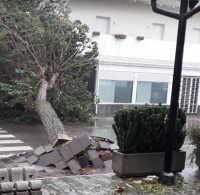 Raffiche di vento a 80 all’ora, alberi abbattuti e disagi in tutta la città