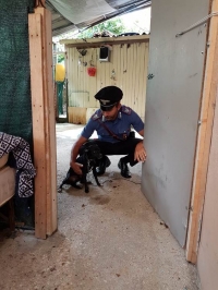 Torna in Moldavia e abbandona cagnolino, denunciato