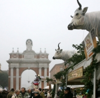 Santarcangelo: la fiera di San Martino vittima de nuovo decreto