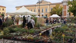 San Martino, giovedì al via la fiera, domani l&#039;anteprima