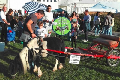 Oltre 50mila visitatori per la Fiera di San Michele