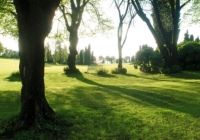 Palpeggia bambine al parco, arrestato