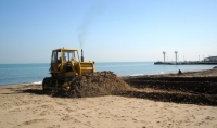 Spiaggia, tornano le dune antimareggiate