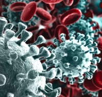 Coronavirus, firmato il decreto: Rimini è “chiusa”