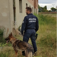 Polizia locale, il bilancio: 11 arresti nel 2020