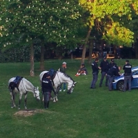 Spaccio nei parchi: 15 arresti in due mesi
