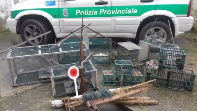 Gabbie e fucile irregolari, denunciato bracconiere