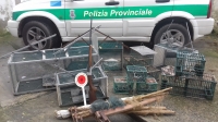 Gabbie e fucile irregolari, denunciato bracconiere