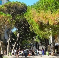 Commercio a Riccione, contributo a fondo perduto per chi aprirà un’attività