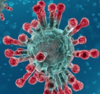 Aggiornamento coronavirus: +100 nel riminese, nessun nuovo ingresso in terapia intensiva